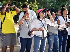 En celebración de Global Big Day destacan potencial para el “aviturismo’’ en Ciudad Colonial SD