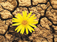 Retos y desafíos de una República Dominicana resiliente