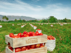 Supermercados Nacional refuerza sus grandes diferenciadores con plataforma “Origen Nacional” Supermercados Nacional refuerza sus grandes diferenciadores a través de la plataforma “Origen Nacional”