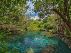 Puntacana Resort & Club es galardonado con el TripAdvisor Travelers’ Choice Award 2020 Puntacana Resort & Club es galardonado con el TripAdvisor Travelers’ Choice Award 2020