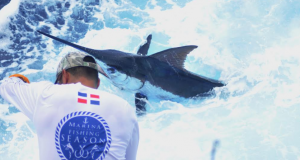 Apertura marina activa la pesca deportiva y llegada de embarcaciones a RD