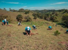 Banco Popular y aliados siembran más de 320,000 árboles en el 2020