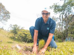Grupo Popular siembra 1,500 árboles en el Plan Sierra