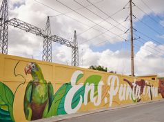 CEPM “embellece Bávaro” con nuevo mural ecológico en la comunidad de Ensanche Punta Cana