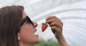 Buen Vivir con Luisa Feliz recorre el país en busca de los mejores sabores