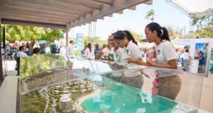 Anuncian nueva edición de la feria Descubre Barahona