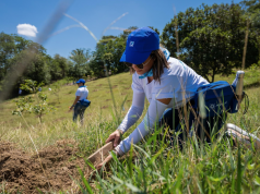 Banco Popular realiza jornada de reforestación junto a proveedores y colaboradores voluntarios