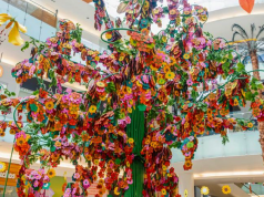 Fundaciones del Árbol de la Esperanza superan los objetivos de recaudación e impactará a más de 20 mil ciudadanos