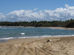 Bergantín iniciará construcción de primeros hoteles en 2024