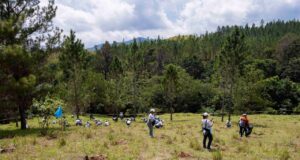 Voluntariado Popular del Banco Popular reforesta junto a periodistas y comunicadores de la Zona Norte