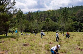 Voluntariado Popular del Banco Popular reforesta junto a periodistas y comunicadores de la Zona Norte
